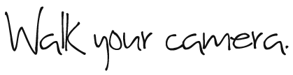 Walk your camera.